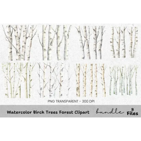 Birch Trees Forest Clipart Bundle