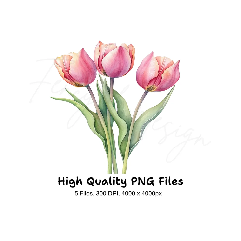 Pink Tulip Bouquets Clipart Bundle