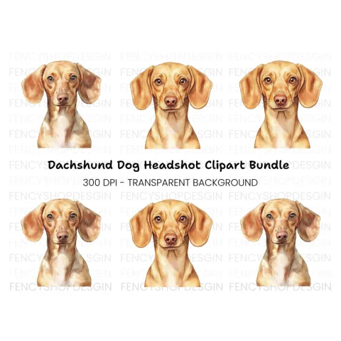 Cute Dachshund Dog Clipart Bundle