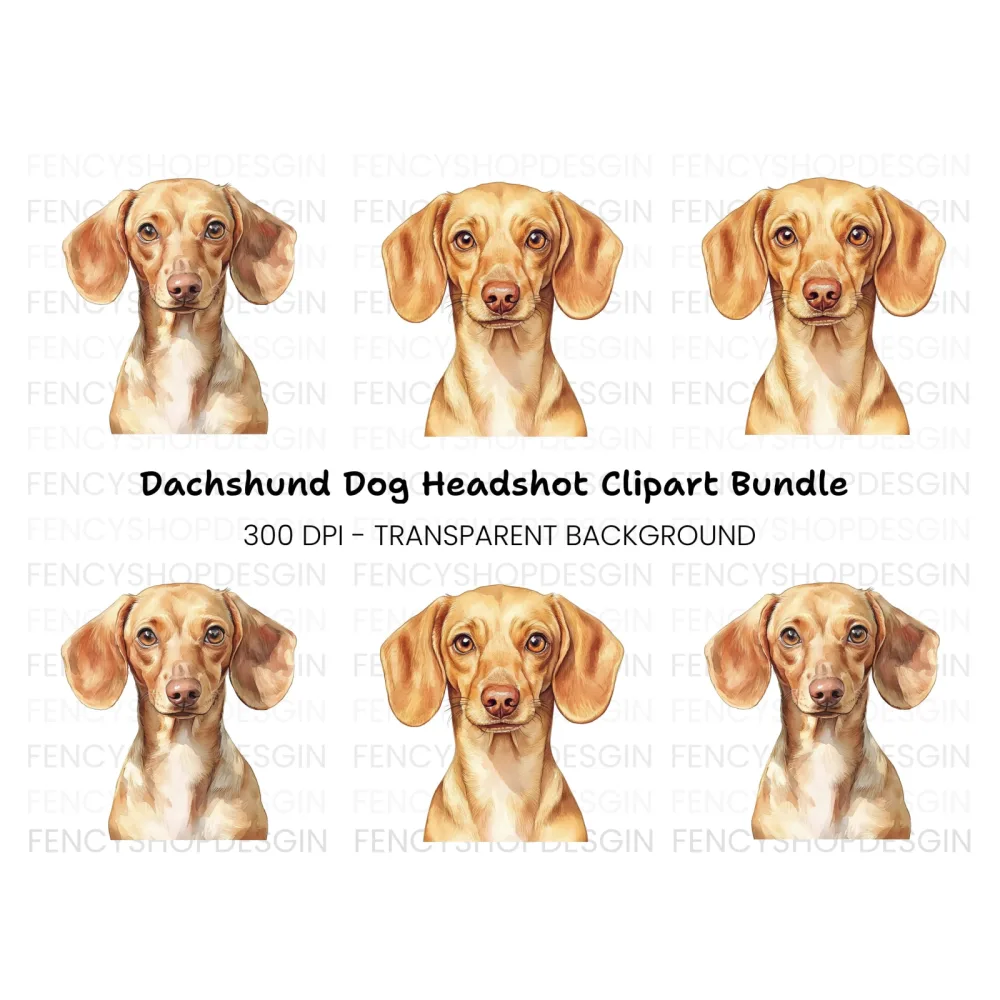 Cute Dachshund Dog Clipart Bundle