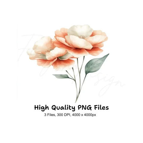 Elegant Peach Peony Clipart Bundle