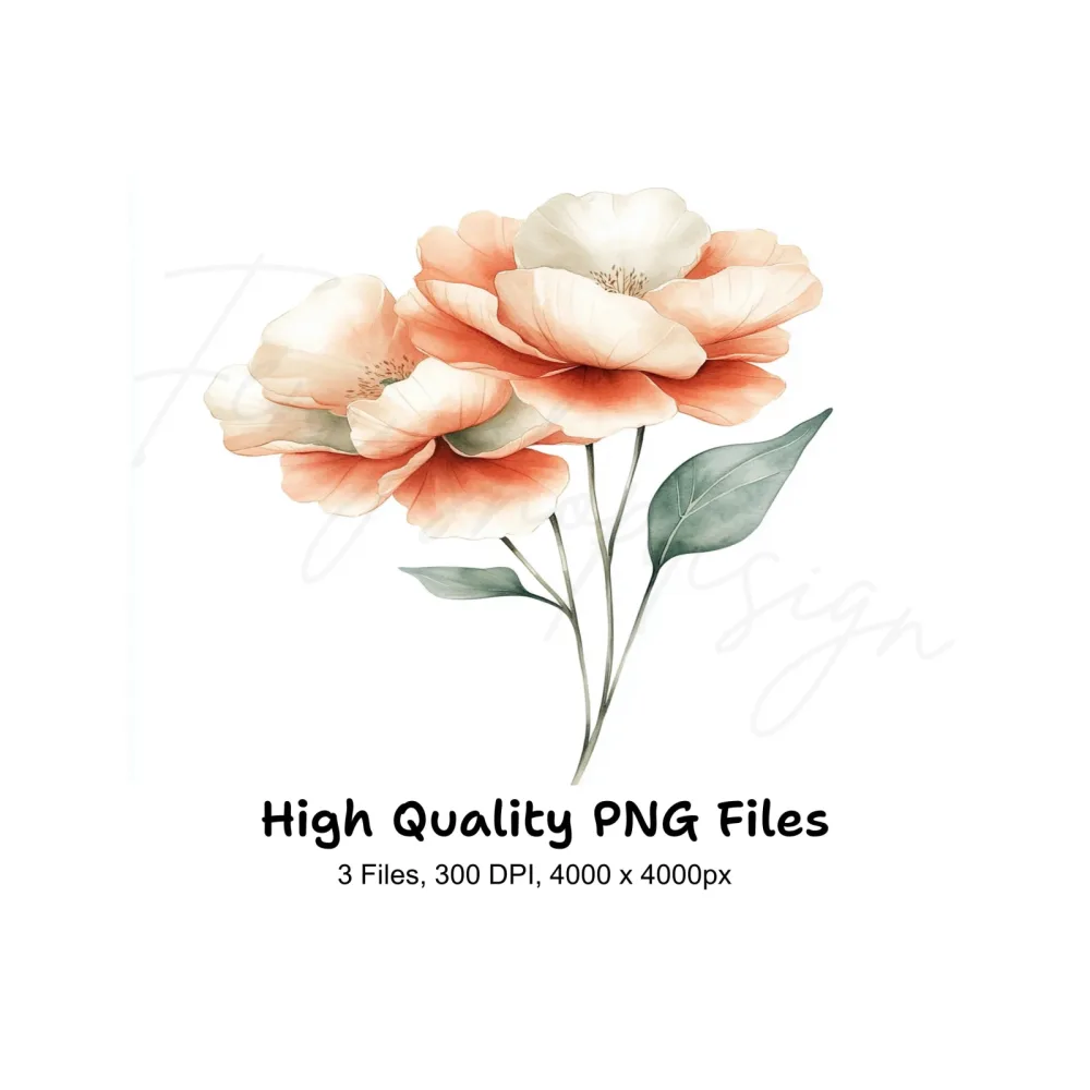 Elegant Peach Peony Clipart Bundle
