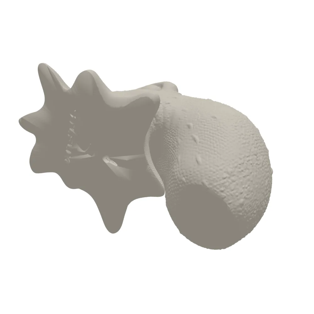 Octopus Head 3D Print STL File