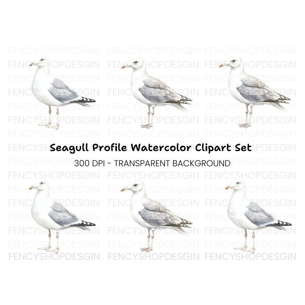 Seagull Side View Clipart Bundle