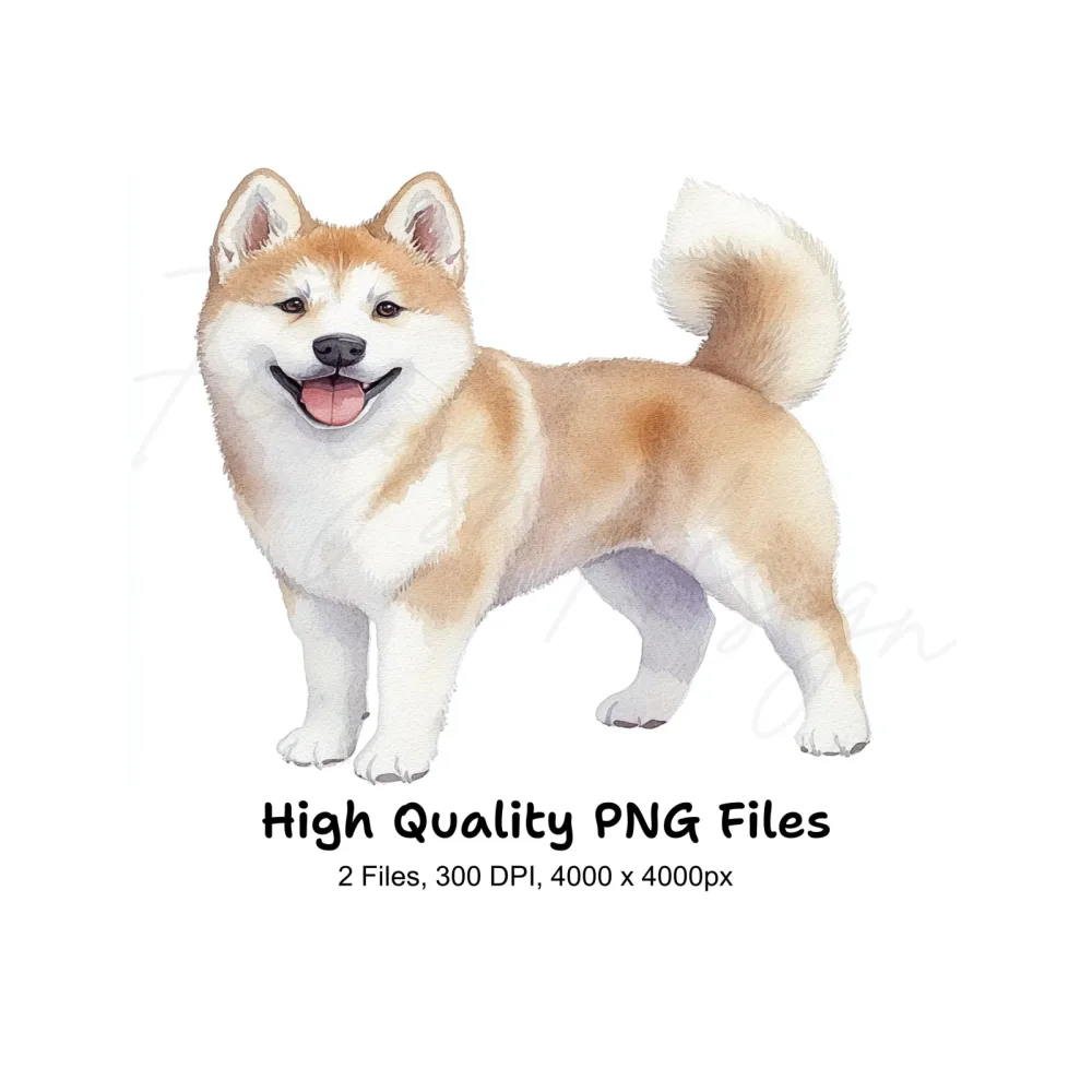 Akita Dog Breed Clipart Bundle