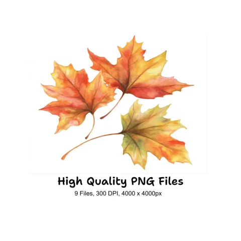Autumn Leaves Clipart Bundle