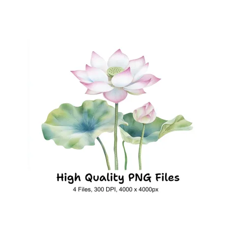 Elegant Lotus Flower Clipart Bundle