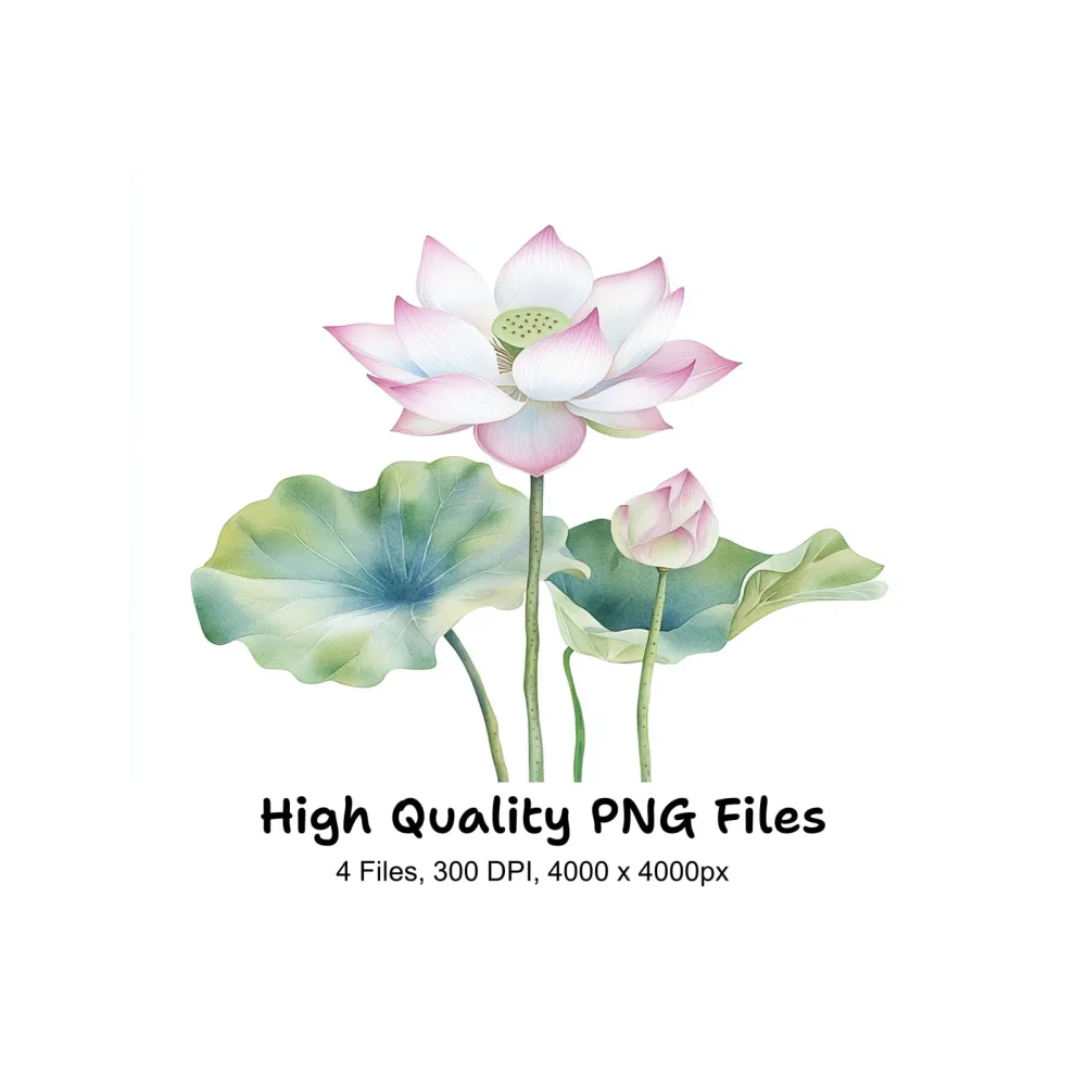 Elegant Lotus Flower Clipart Bundle
