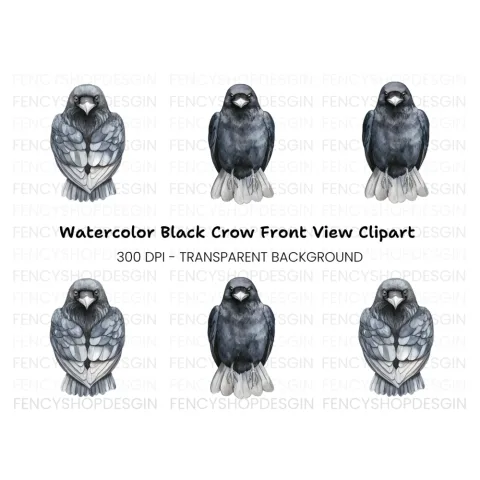 Front Facing Crow Clipart Bundle