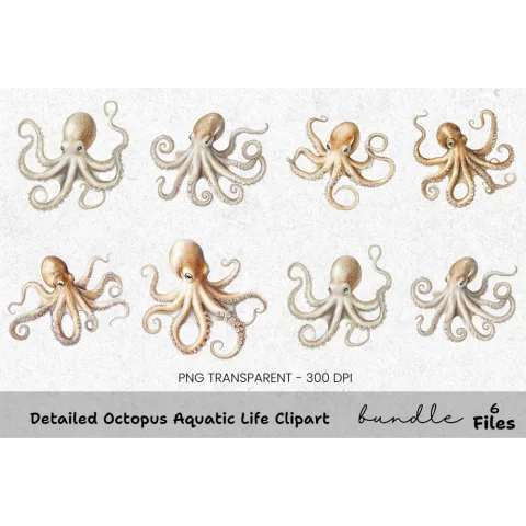 Detailed Octopus Aquatic Life Clipart Bundle