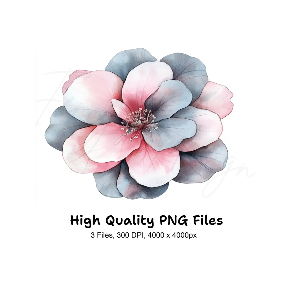 Pink and Grey Flowers Clipart Bundle