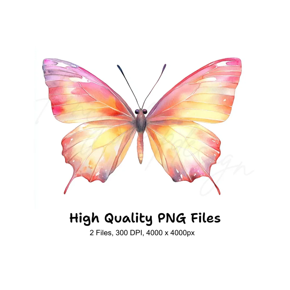 Pink and Orange Butterflies Clipart Bundle