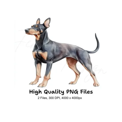 Elegant Doberman Dog Clipart Bundle
