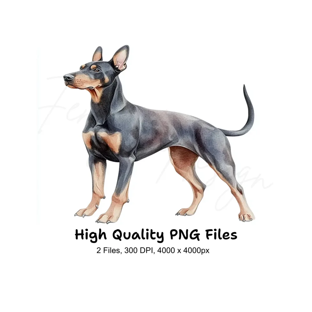 Elegant Doberman Dog Clipart Bundle