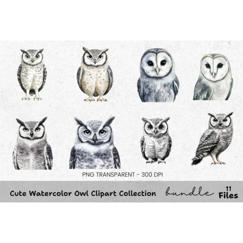 Cute Owl Clipart Bundle