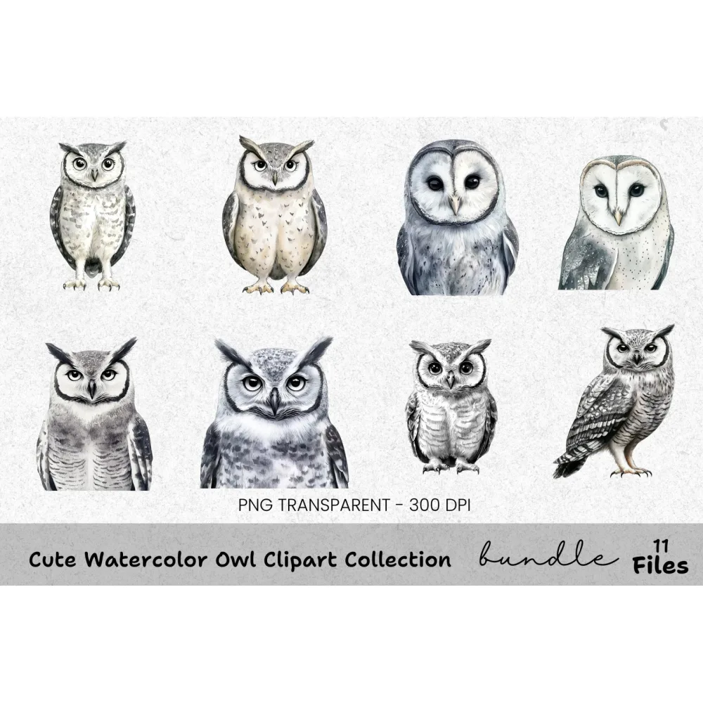 Cute Owl Clipart Bundle