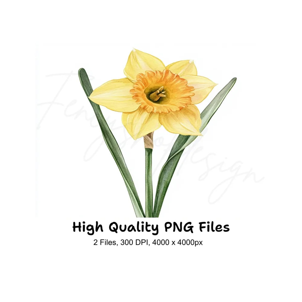 Elegant Daffodil Flower Clipart Bundle