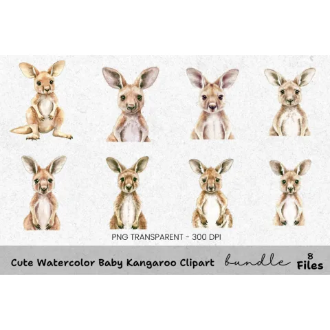 Cute Baby Kangaroo Clipart Bundle