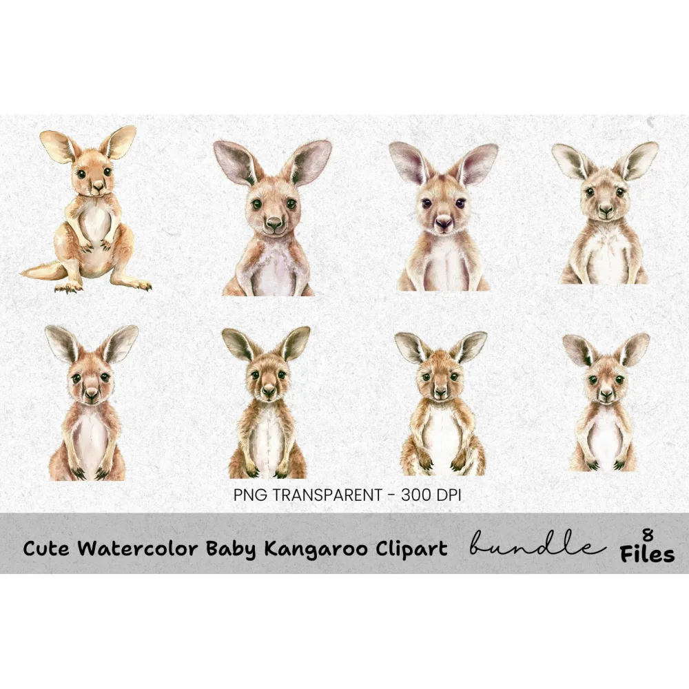 Cute Baby Kangaroo Clipart Bundle