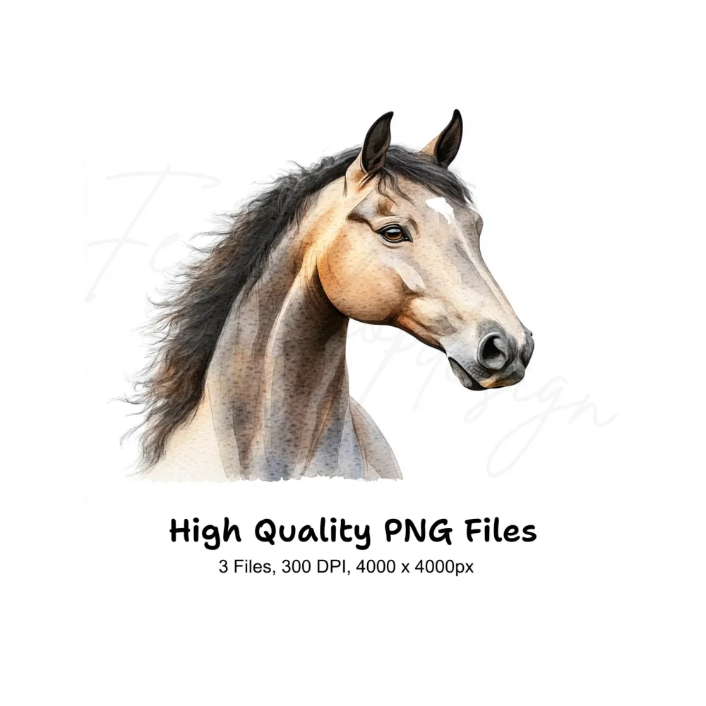 Beautiful Horse Head Clipart Bundle