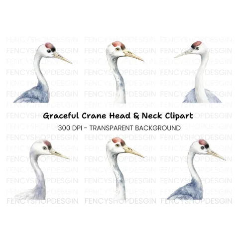 Elegant Crane Heads Clipart Bundle
