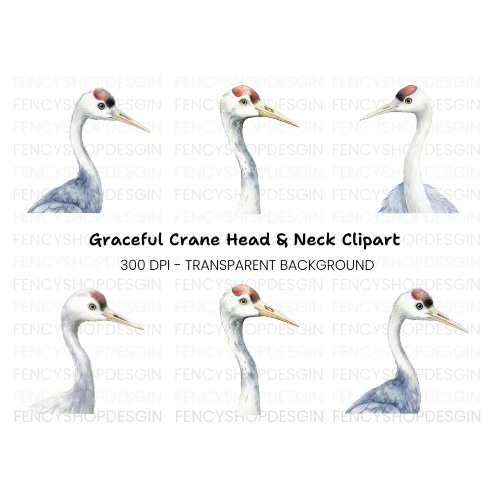 Elegant Crane Heads Clipart Bundle