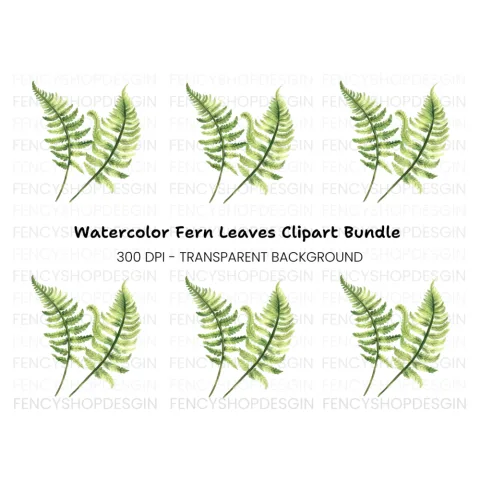 Fern Leaves Clipart Bundle