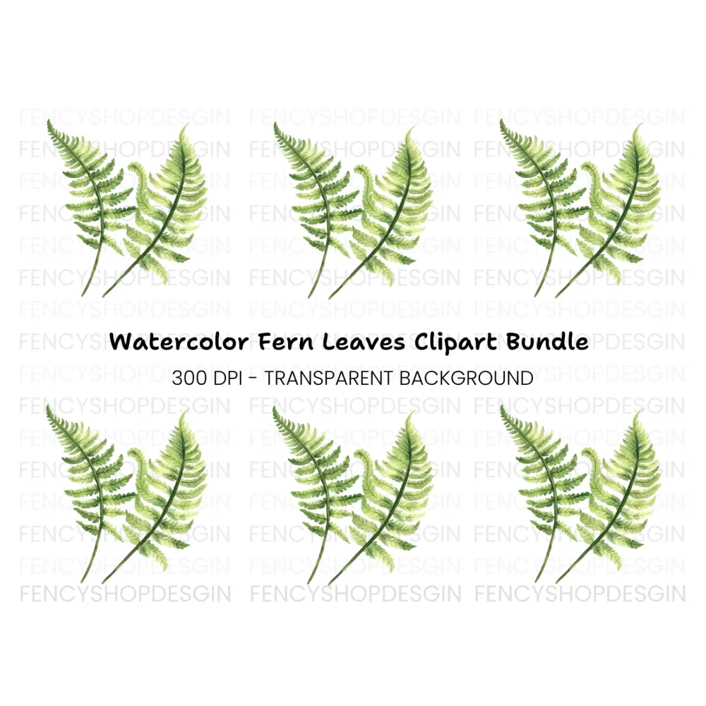 Fern Leaves Clipart Bundle