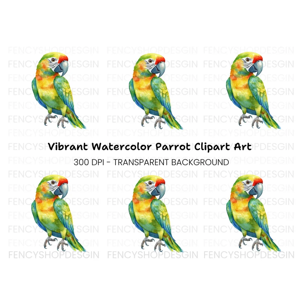 Vibrant Parrot Clipart Bundle