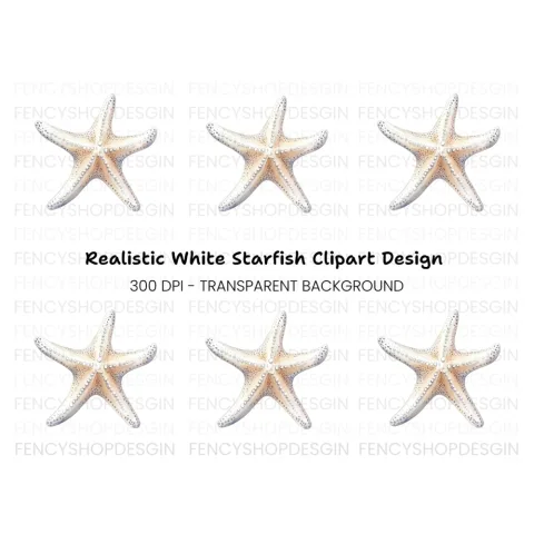 White Starfish Clipart Bundle
