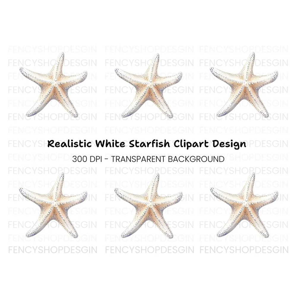 White Starfish Clipart Bundle