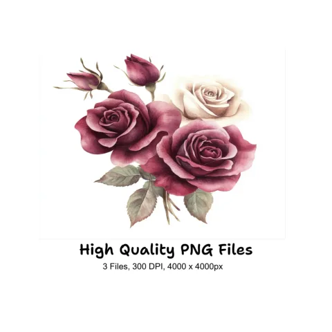 Elegant Burgundy Cream Rose Clipart Bundle
