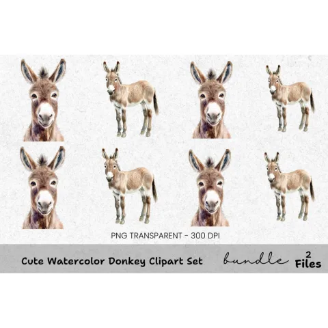 Cute Donkey Clipart Bundle