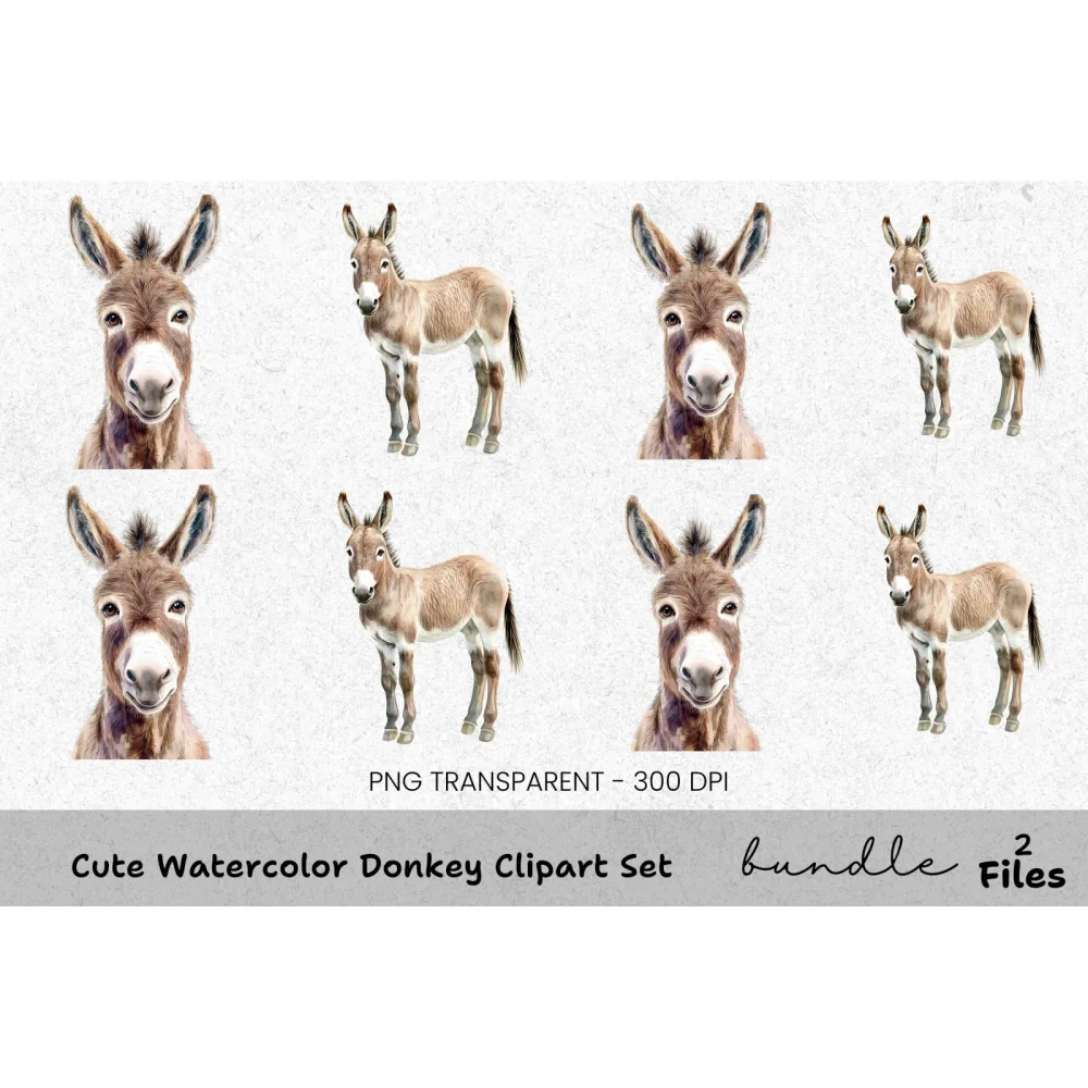 Cute Donkey Clipart Bundle