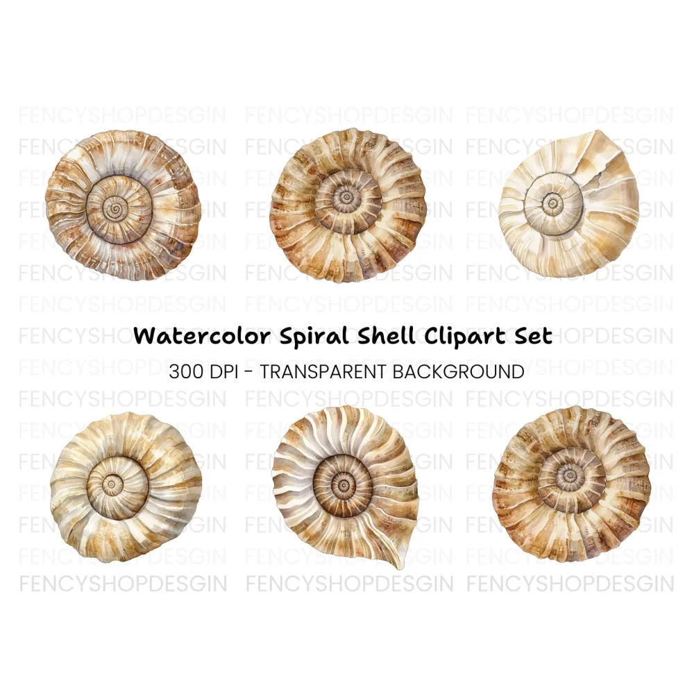 Ammonite Fossil Shell Clipart Bundle