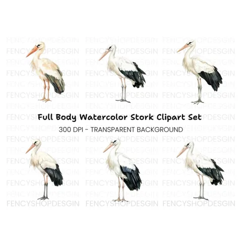 Elegant White Stork Clipart Bundle