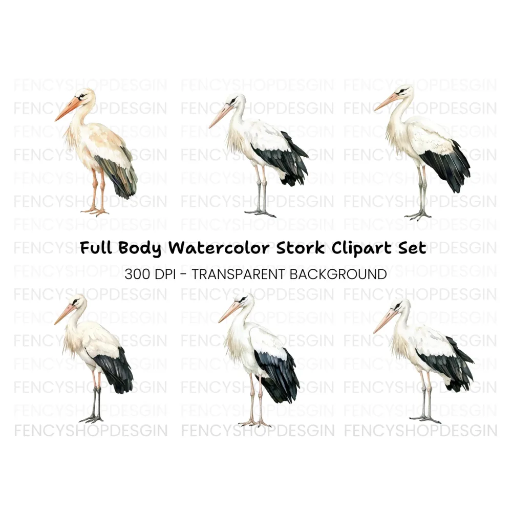 Elegant White Stork Clipart Bundle