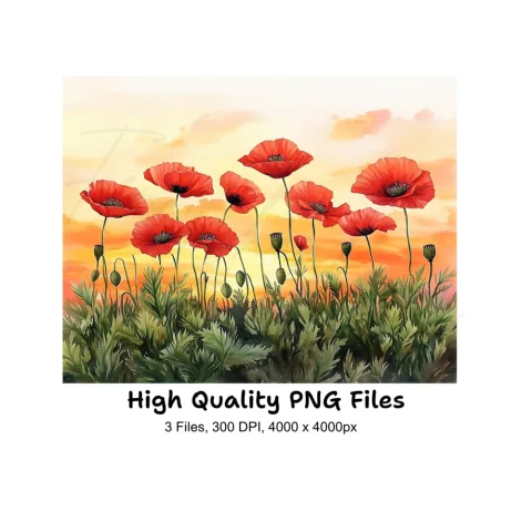 Poppy Field Sunset Landscape Clipart Bundle