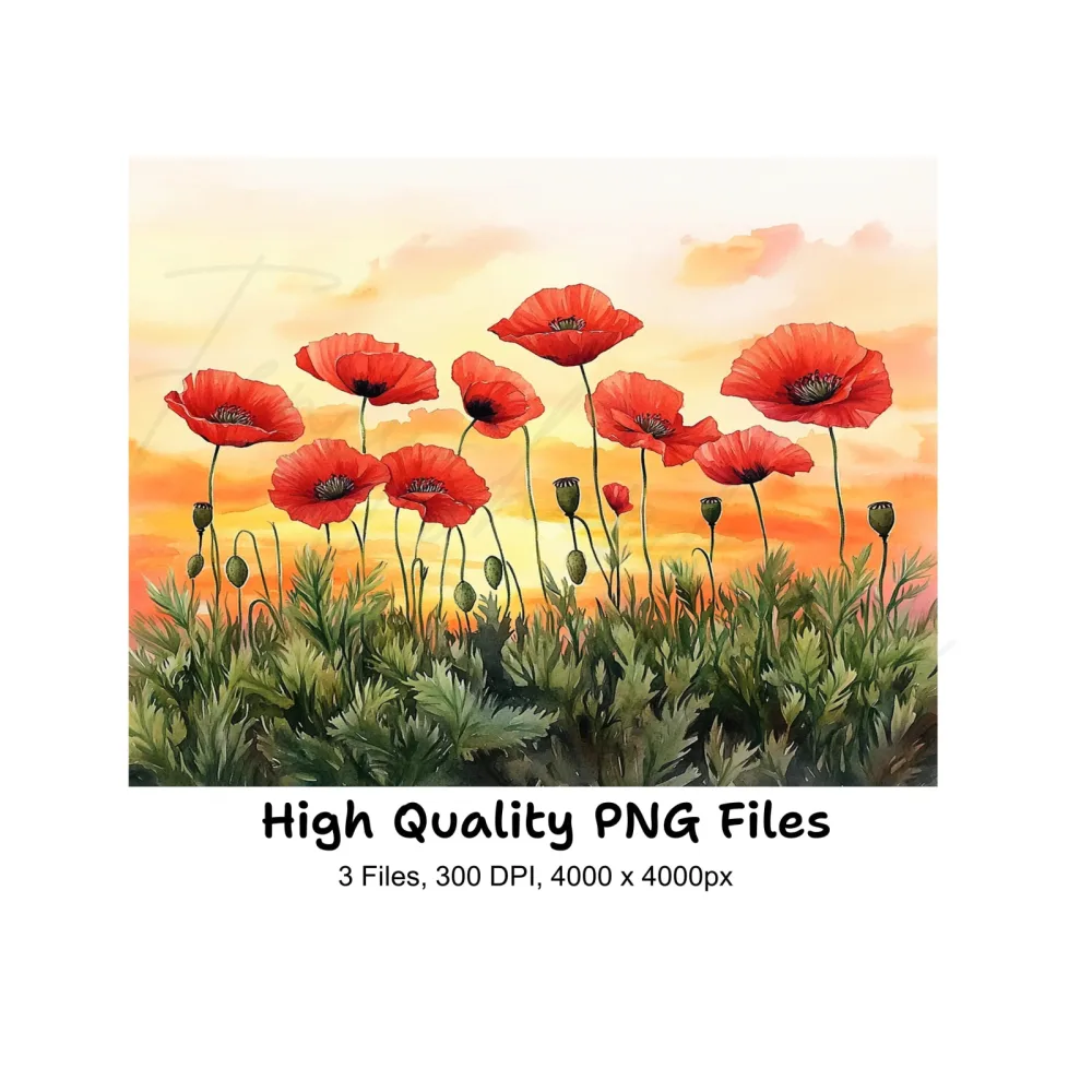 Poppy Field Sunset Landscape Clipart Bundle