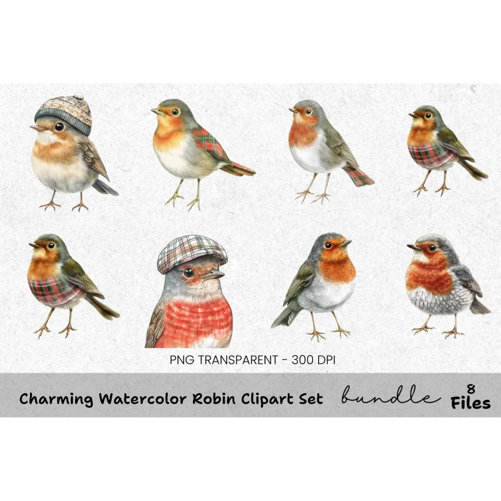Charming Robin Clipart Bundle