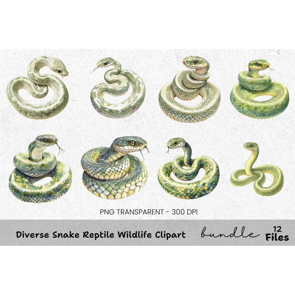 Diverse Snake Reptile Wildlife Clipart Bundle