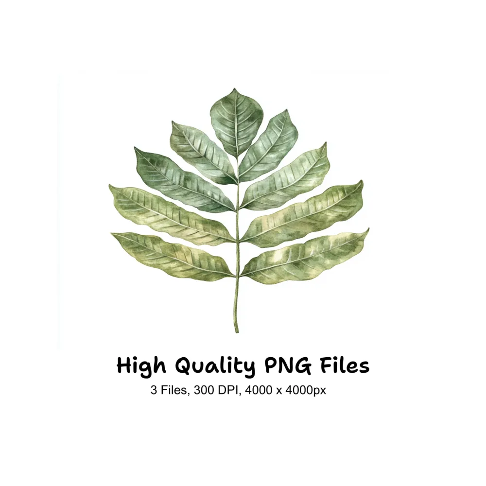 Green Leaves Clipart Bundle