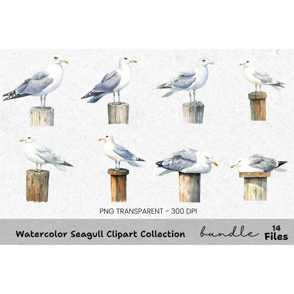 Seagull Clipart Bundle