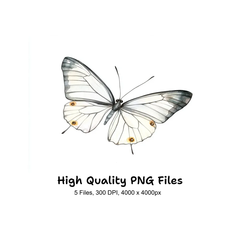 Elegant White Butterfly Clipart Bundle