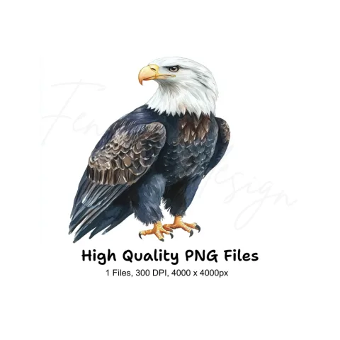 Majestic Bald Eagle Clipart Bundle