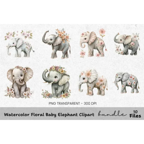 Floral Baby Elephant Clipart Bundle