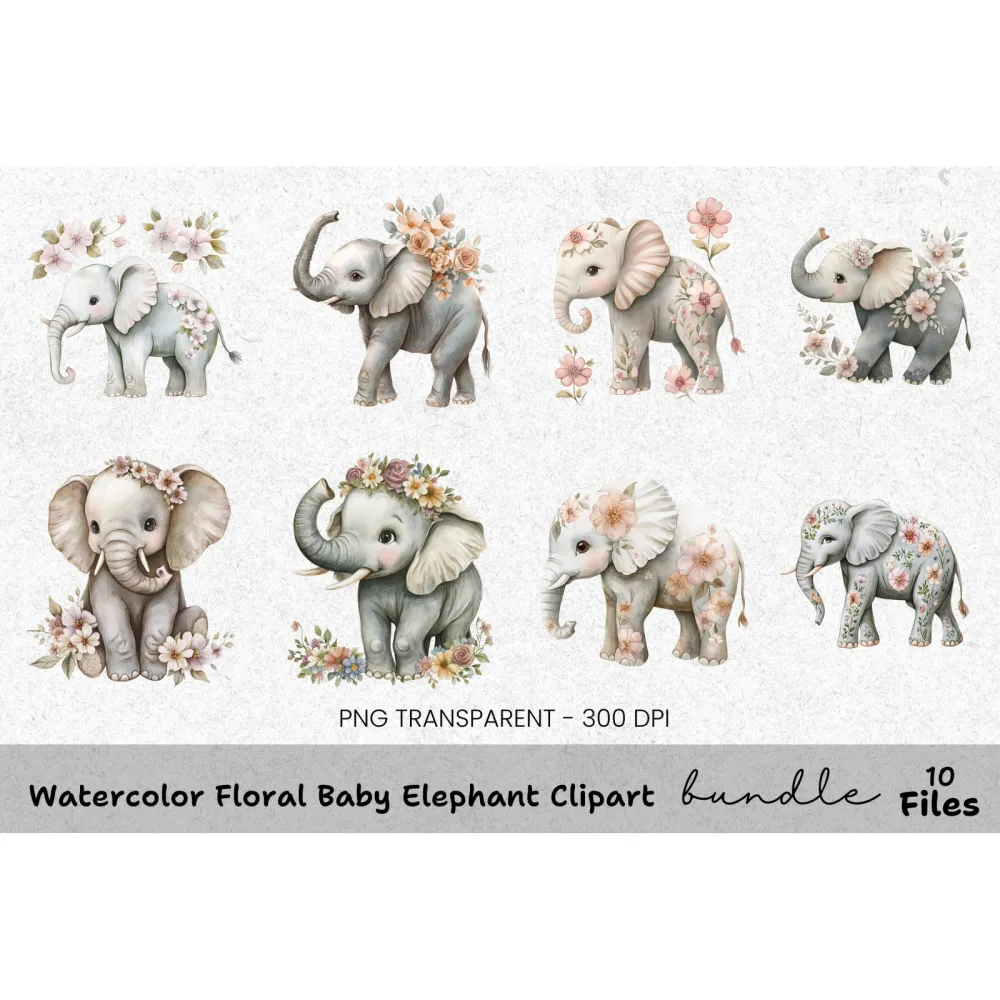 Floral Baby Elephant Clipart Bundle