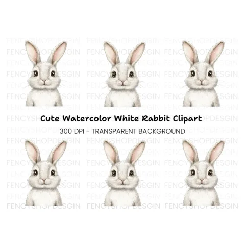 Cute White Bunny Clipart Bundle
