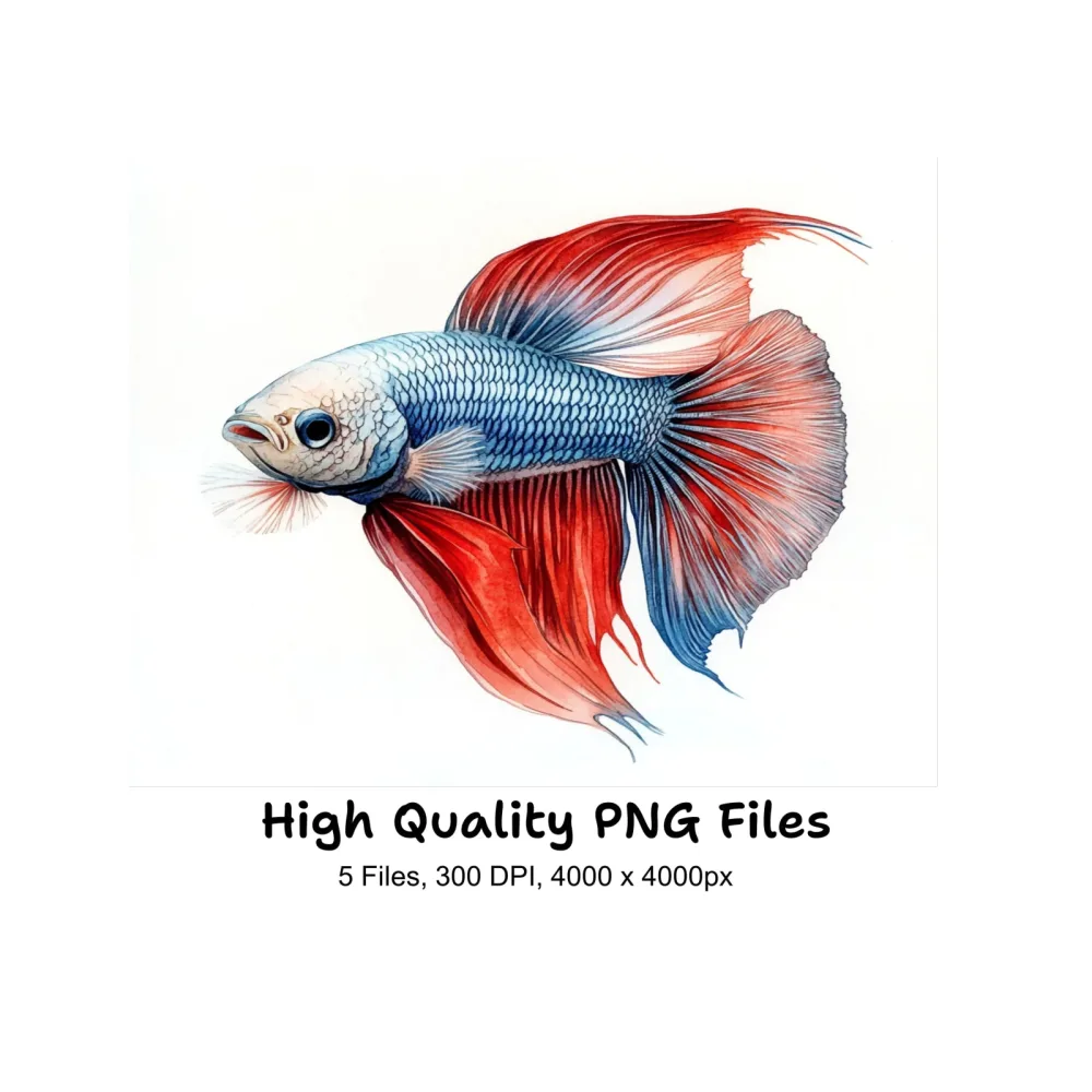 Stunning Betta Fish Clipart Bundle