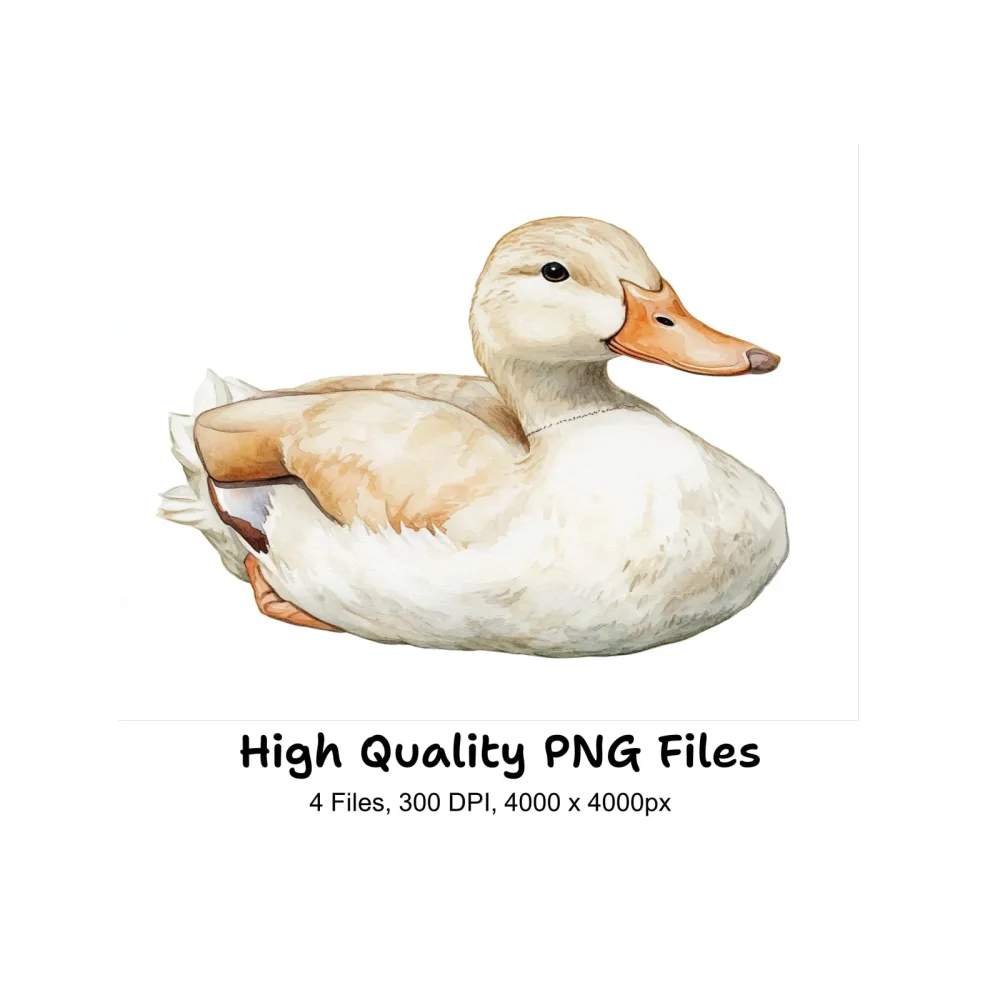 Cute Duck Clipart Bundle
